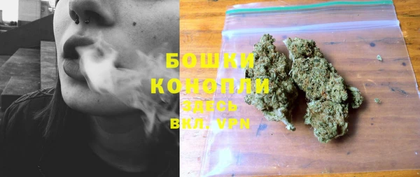 твердый Новодвинск