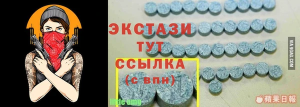 твердый Новодвинск