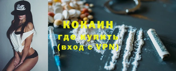 твердый Новодвинск