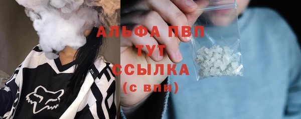 ECSTASY Новозыбков