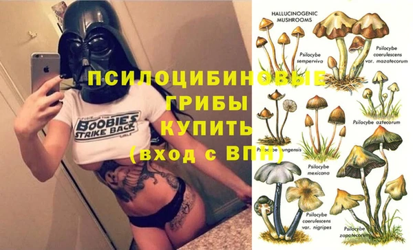 ECSTASY Новозыбков