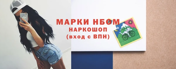 твердый Новодвинск
