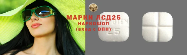 стаф Новокубанск