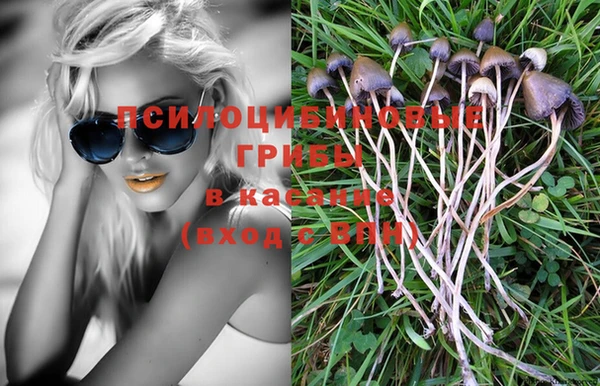 ECSTASY Новозыбков
