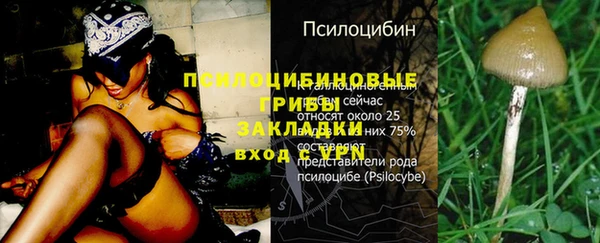 твердый Новодвинск