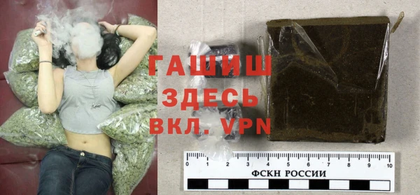 стаф Новокубанск