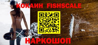 амф Гатчина