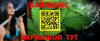 амф Гатчина