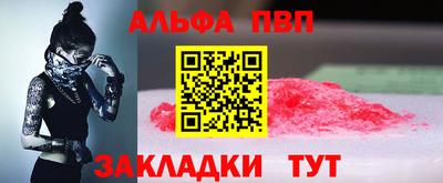 амф Гатчина