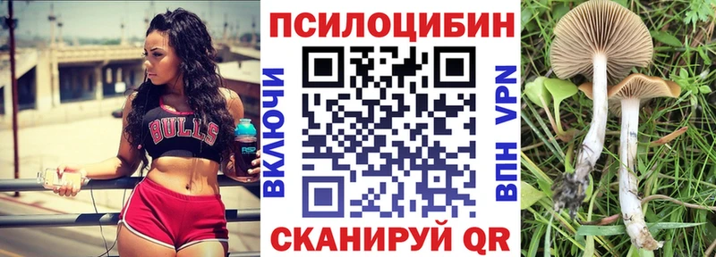 Галлюциногенные грибы Cubensis  купить  цена  Комсомольск-на-Амуре 