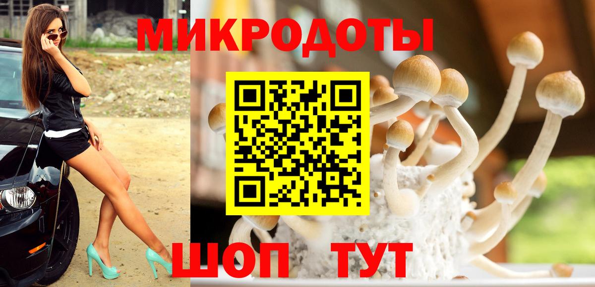 Галлюциногенные грибы мицелий Комсомольск-на-Амуре